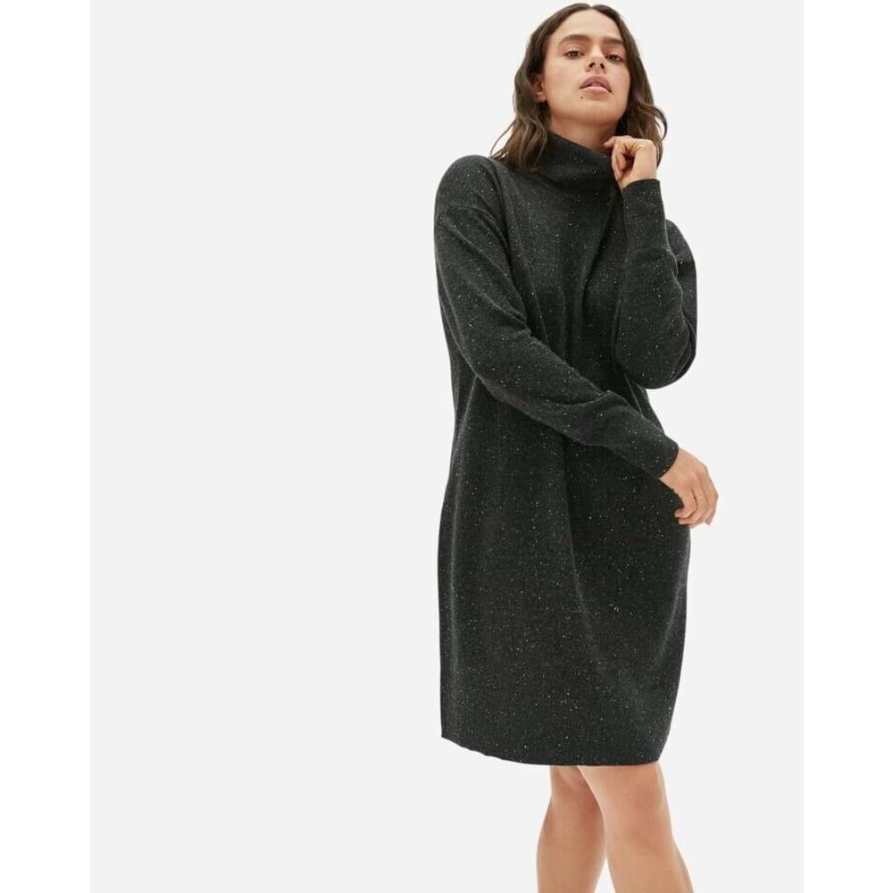 Everlane The Cashmere Turtleneck Sweater Dress Modern Minimalist Capsule Size XS
